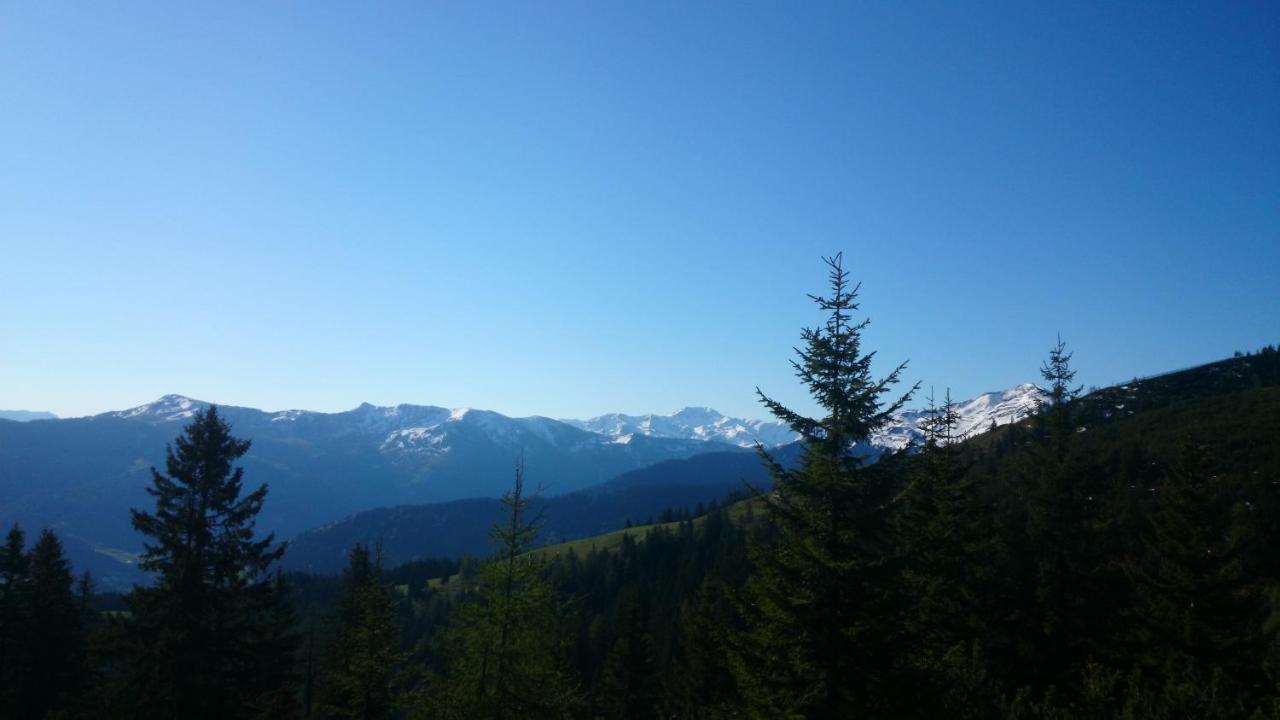 Berggasthof Schatzbergalm Thierbach Екстер'єр фото