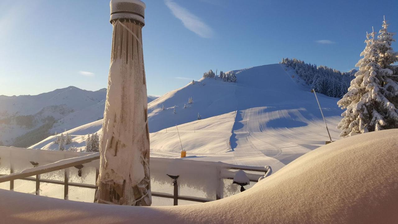 Berggasthof Schatzbergalm Thierbach Екстер'єр фото