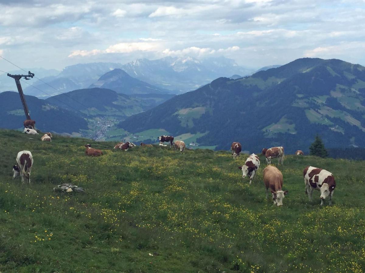 Berggasthof Schatzbergalm Thierbach Екстер'єр фото