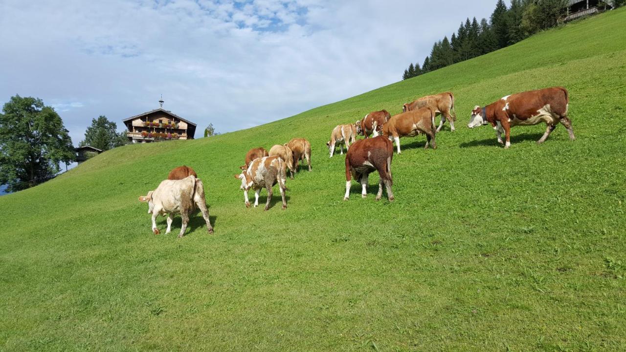 Berggasthof Schatzbergalm Thierbach Екстер'єр фото